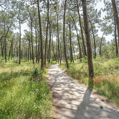 Casa de Férias Lovely In *